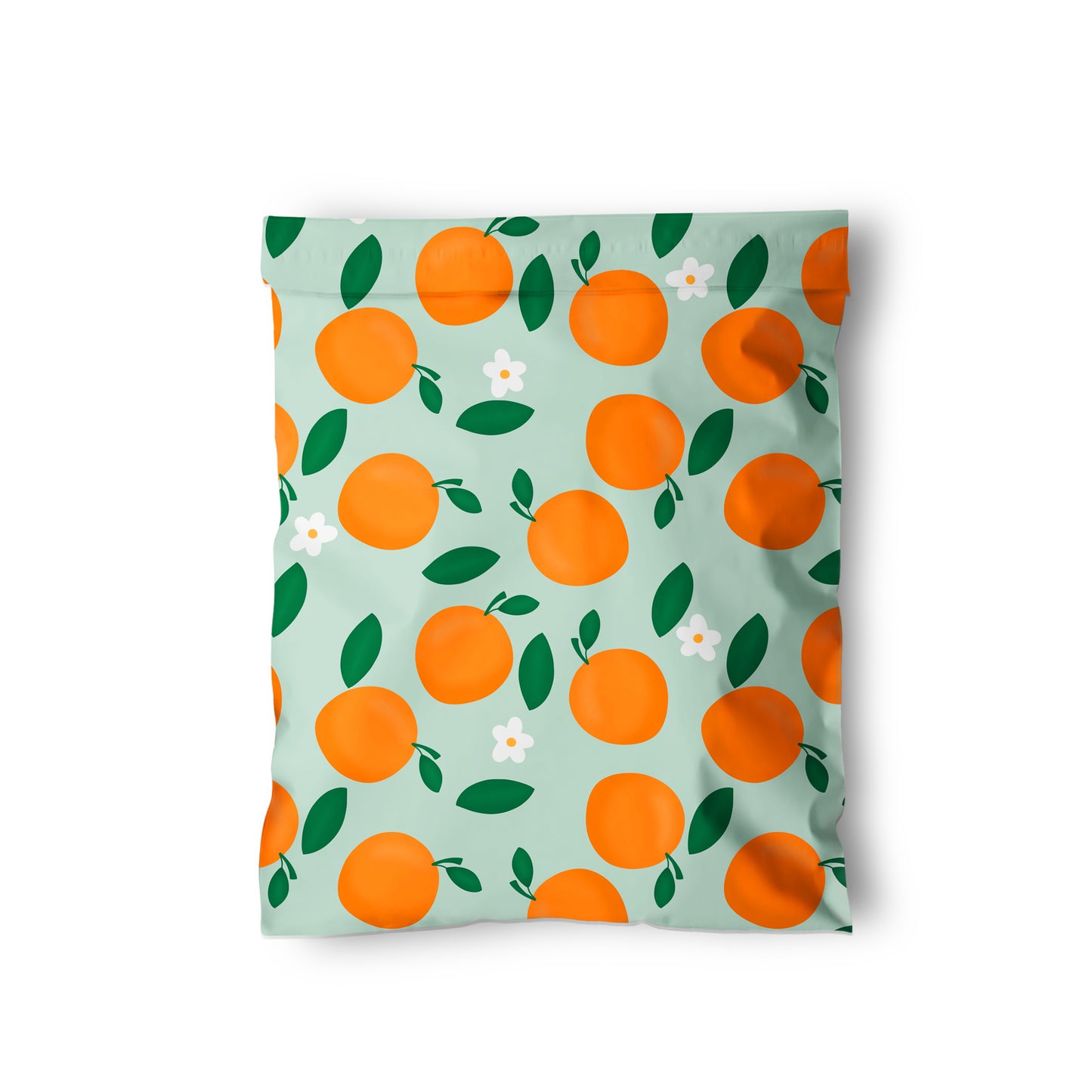 Mint Oranges Poly Mailer